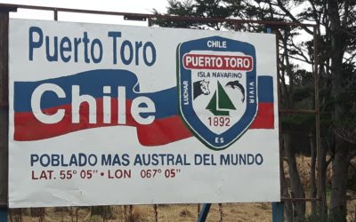 Peregrinación a San Pedro de Puerto Toro.