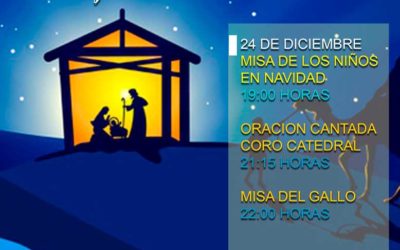 Actividades Catedral de Punta Arenas, ·Esperando Navidad”