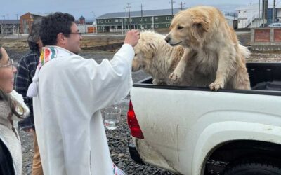 BENDICIÓN DE LAS MASCOTAS EN PUERTO WILLIAMS