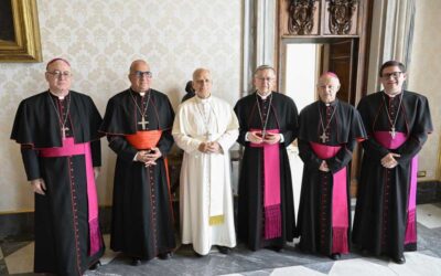 PAPA LEÓN XIV SE REUNIÓ CON OBISPOS DEL COMITÉ PERMANENTE DEL EPISCOPADO CHILENO